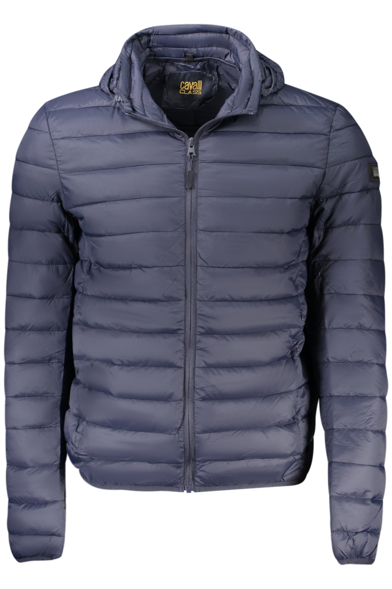 CAVALLI CLASS - Man - Jacket