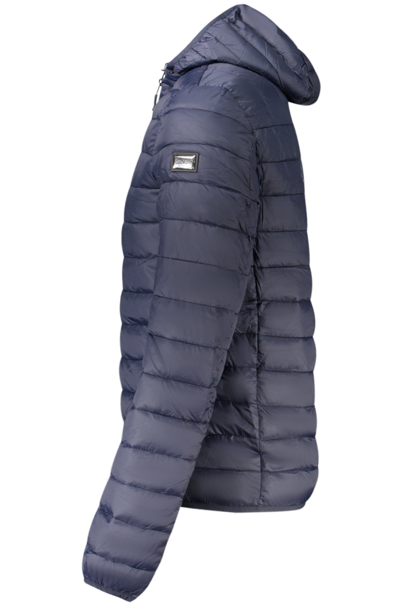 CAVALLI CLASS - Man - Jacket
