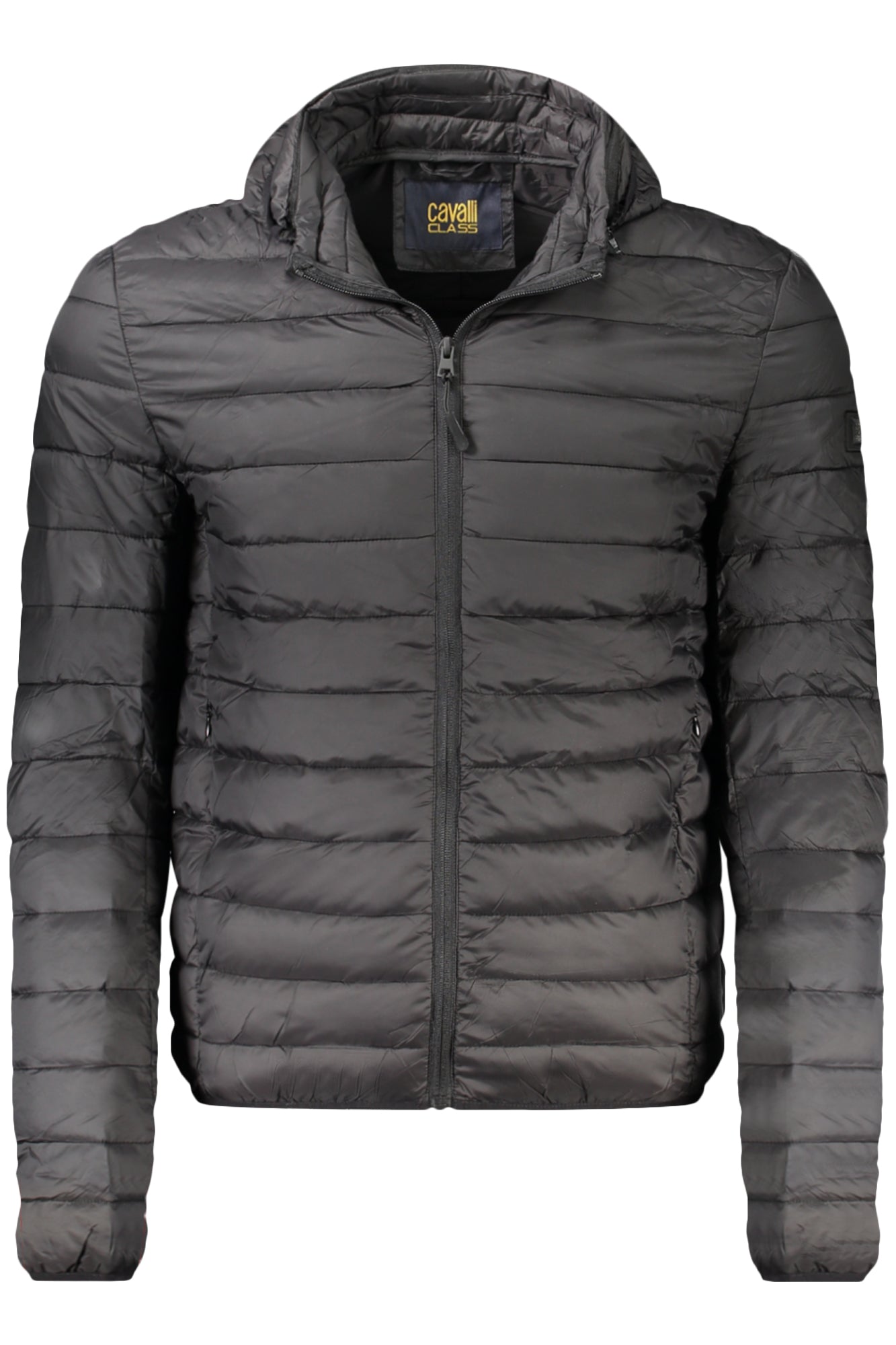 CAVALLI CLASS - Man - Jacket