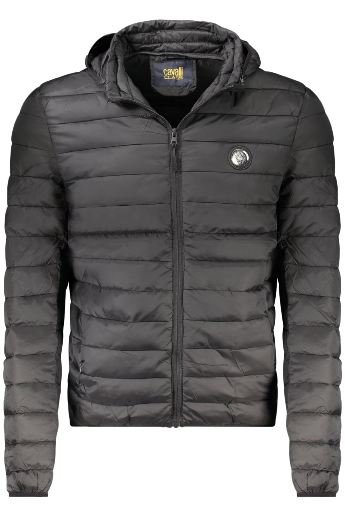 CAVALLI CLASS - Man - Jacket