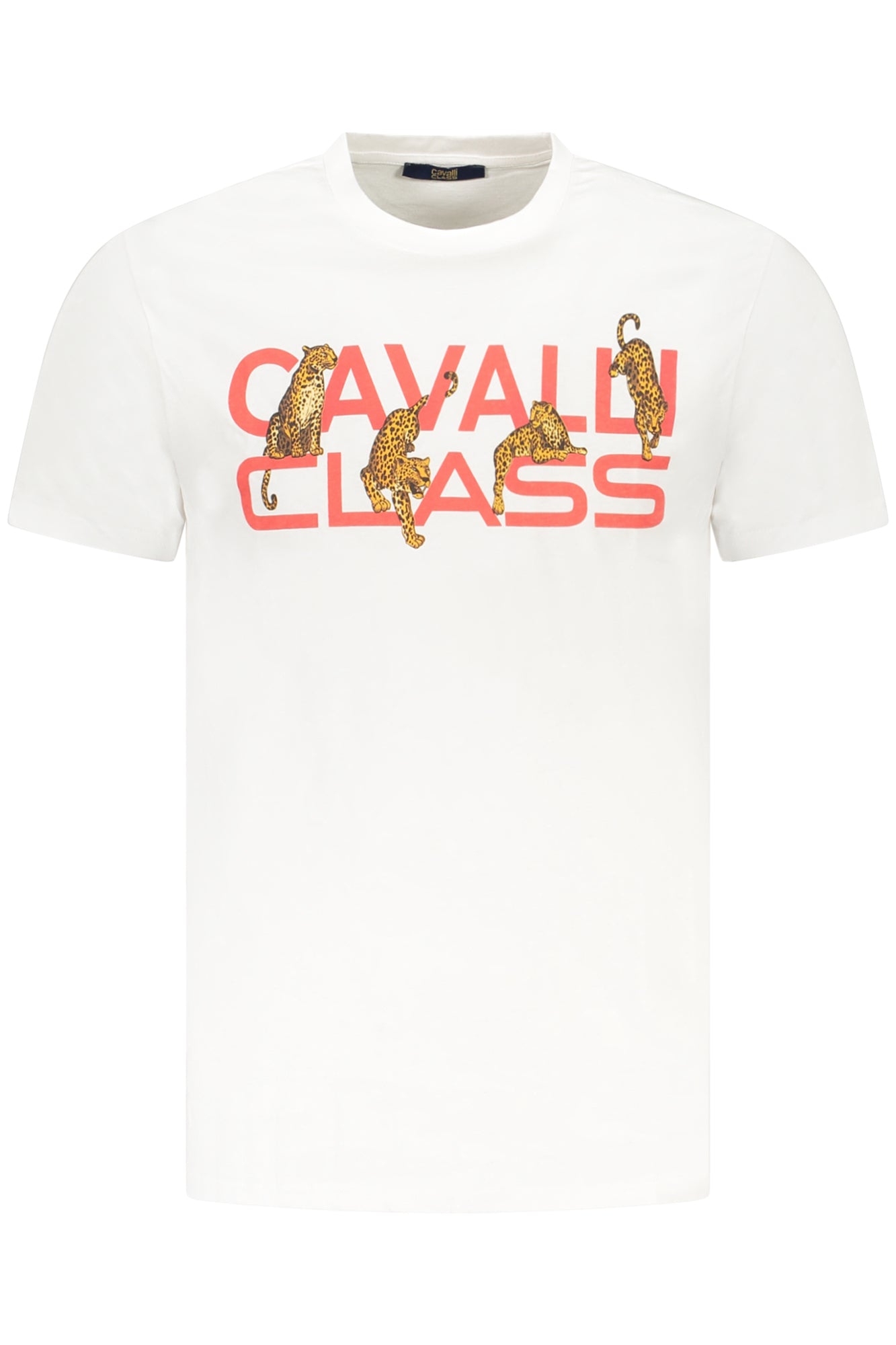 CAVALLI CLASS - Man - T-shirt