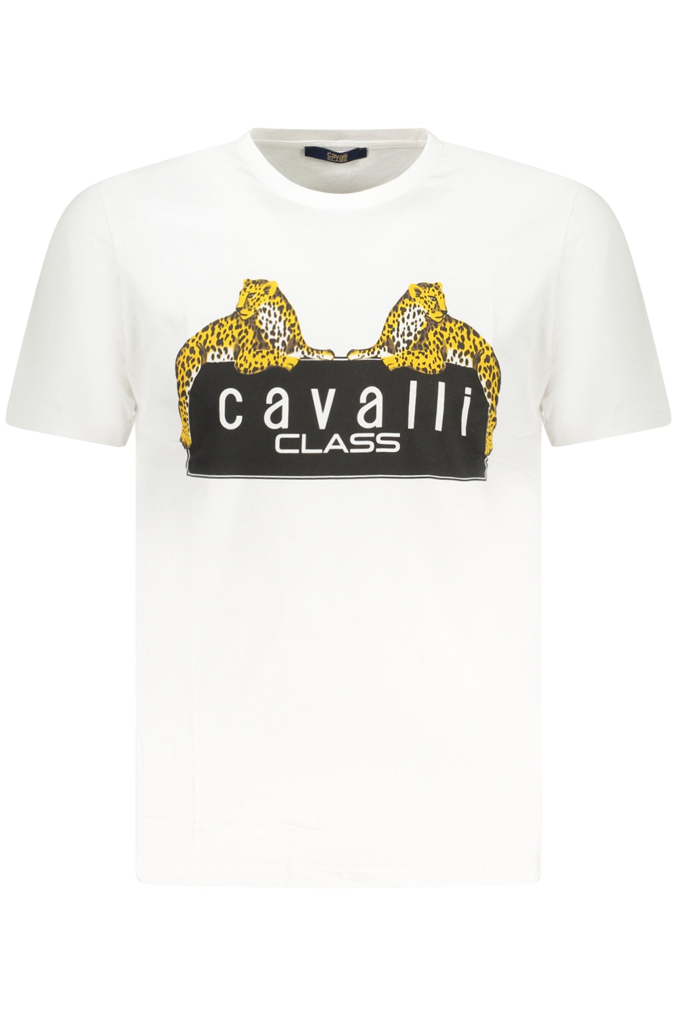 CAVALLI CLASS - Man - T-shirt