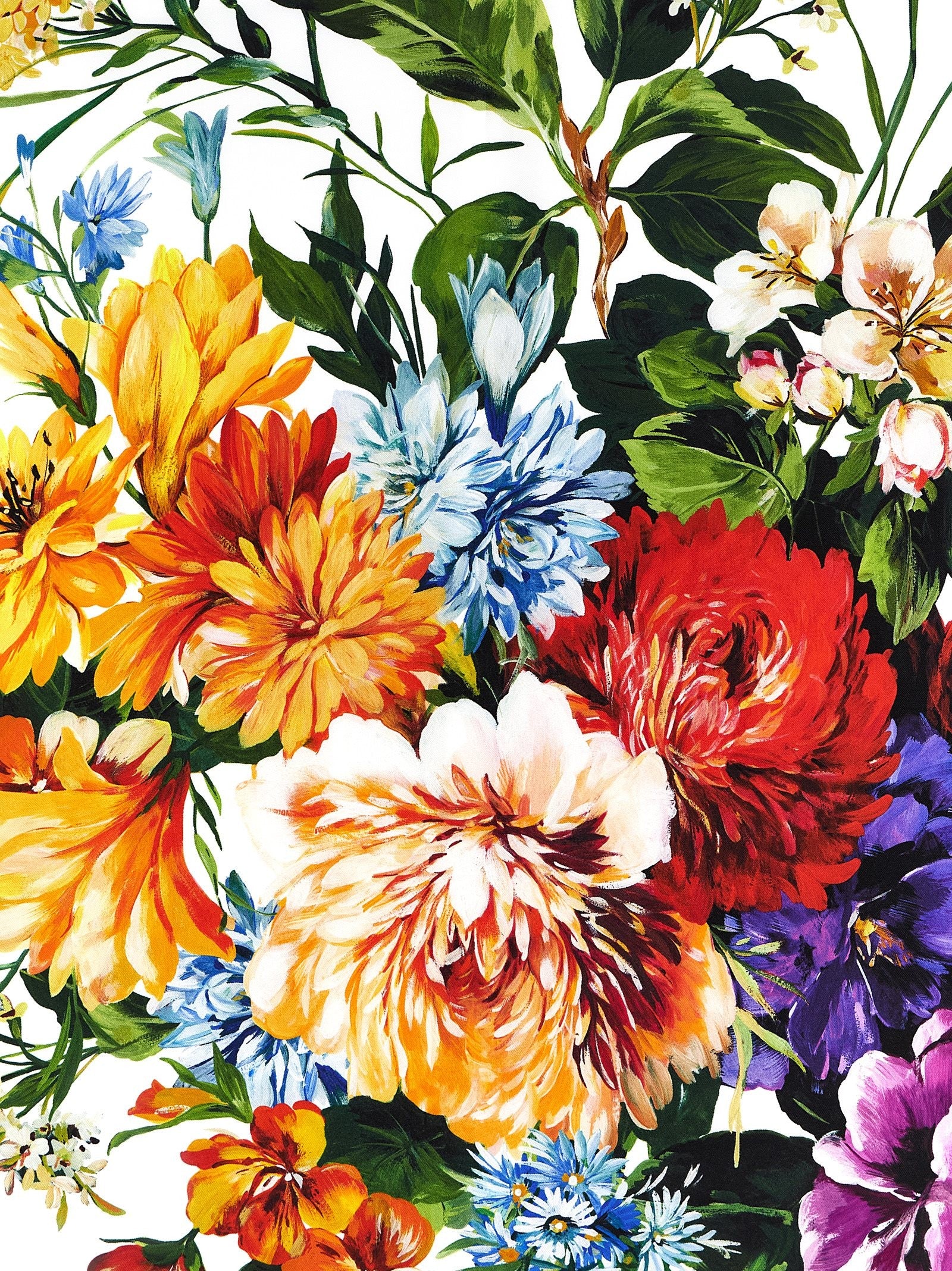 Dolce & Gabbana - nan - Multicolor - Scarf