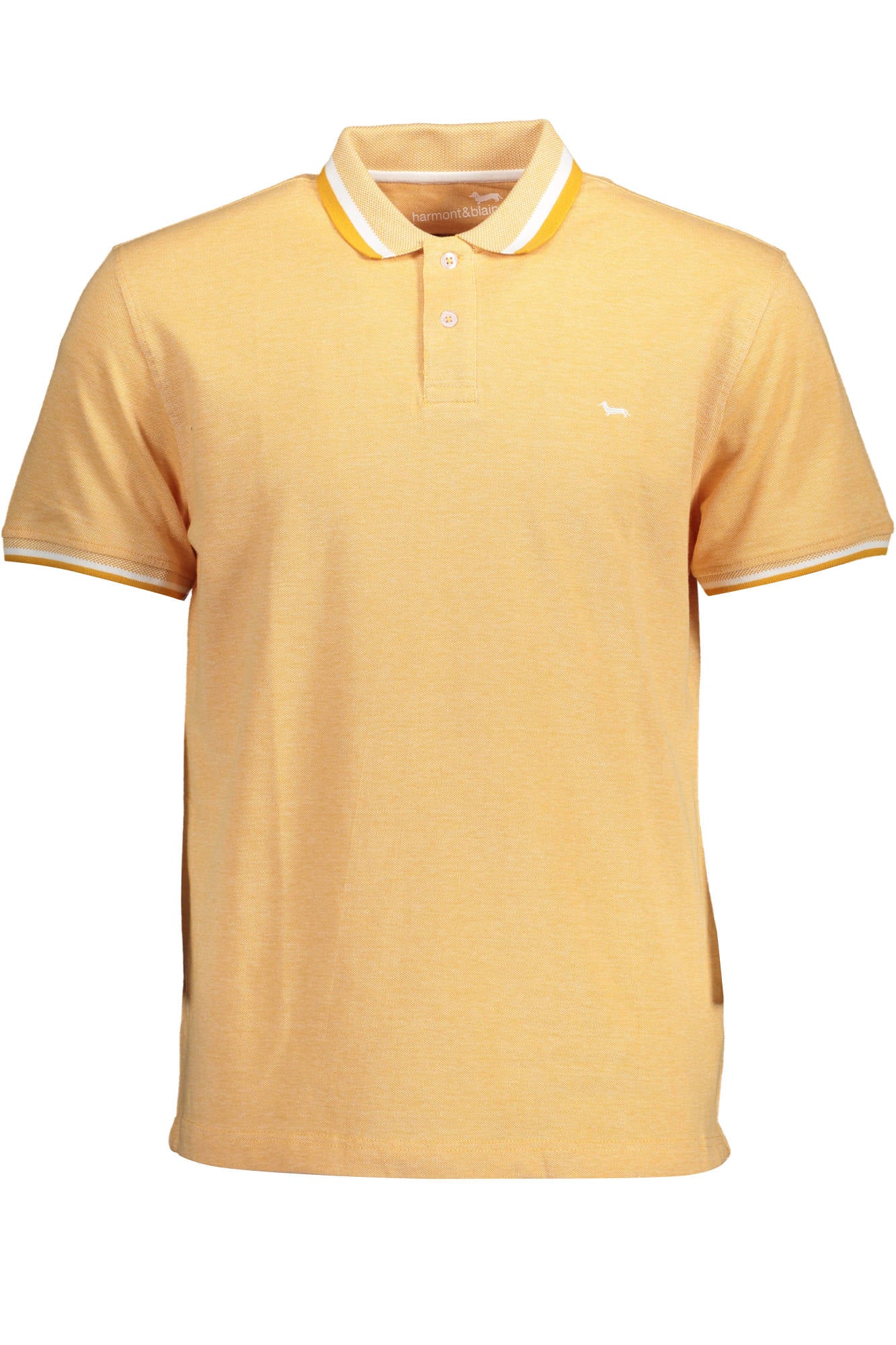 HARMONT & BLAINE - Man - Polo Shirt