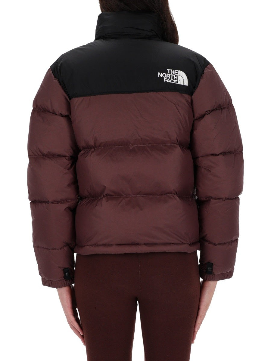 The North Face - Woman - Brown - Blazer
