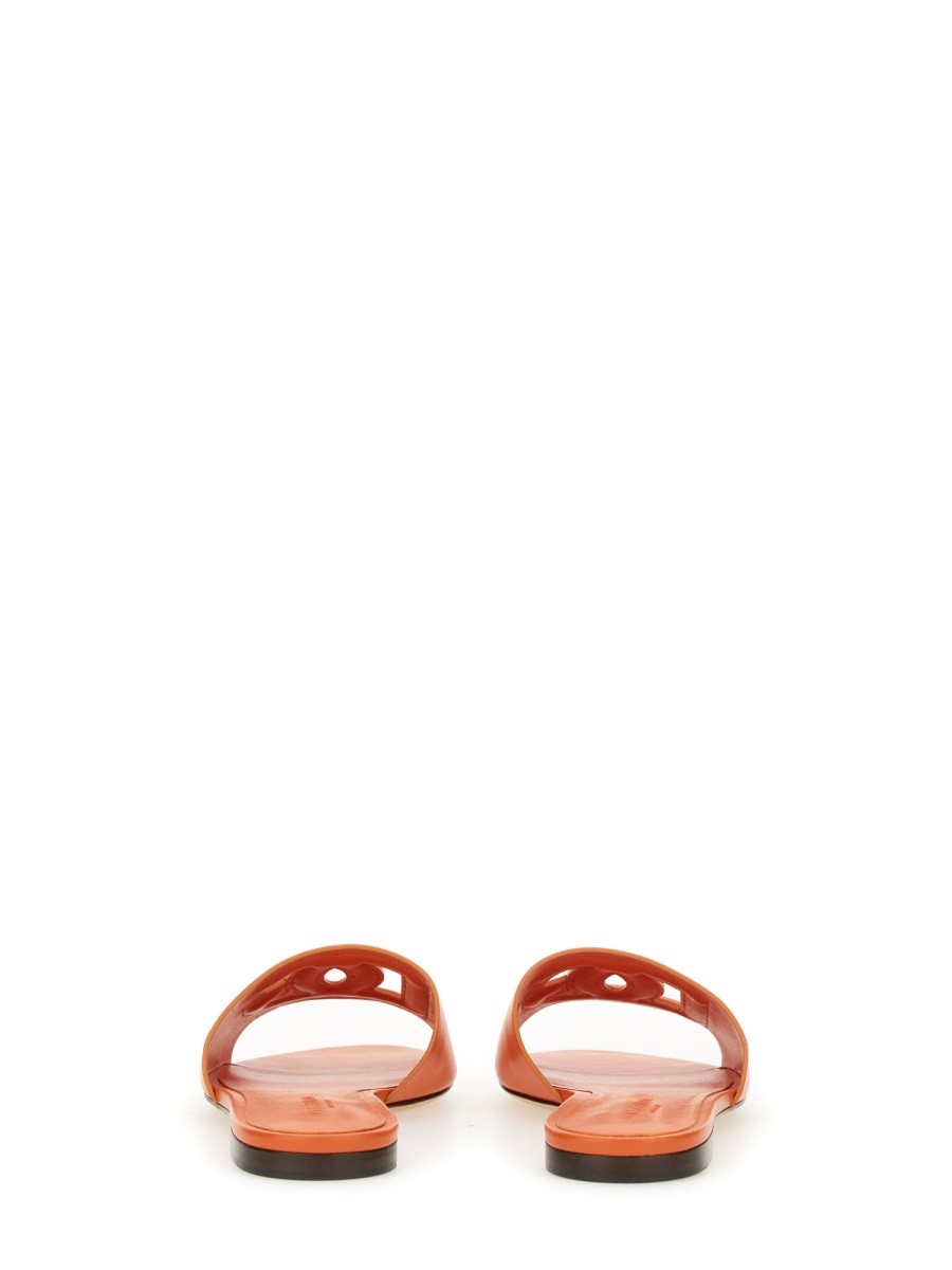 Dolce & Gabbana - Woman - Orange - Flat
