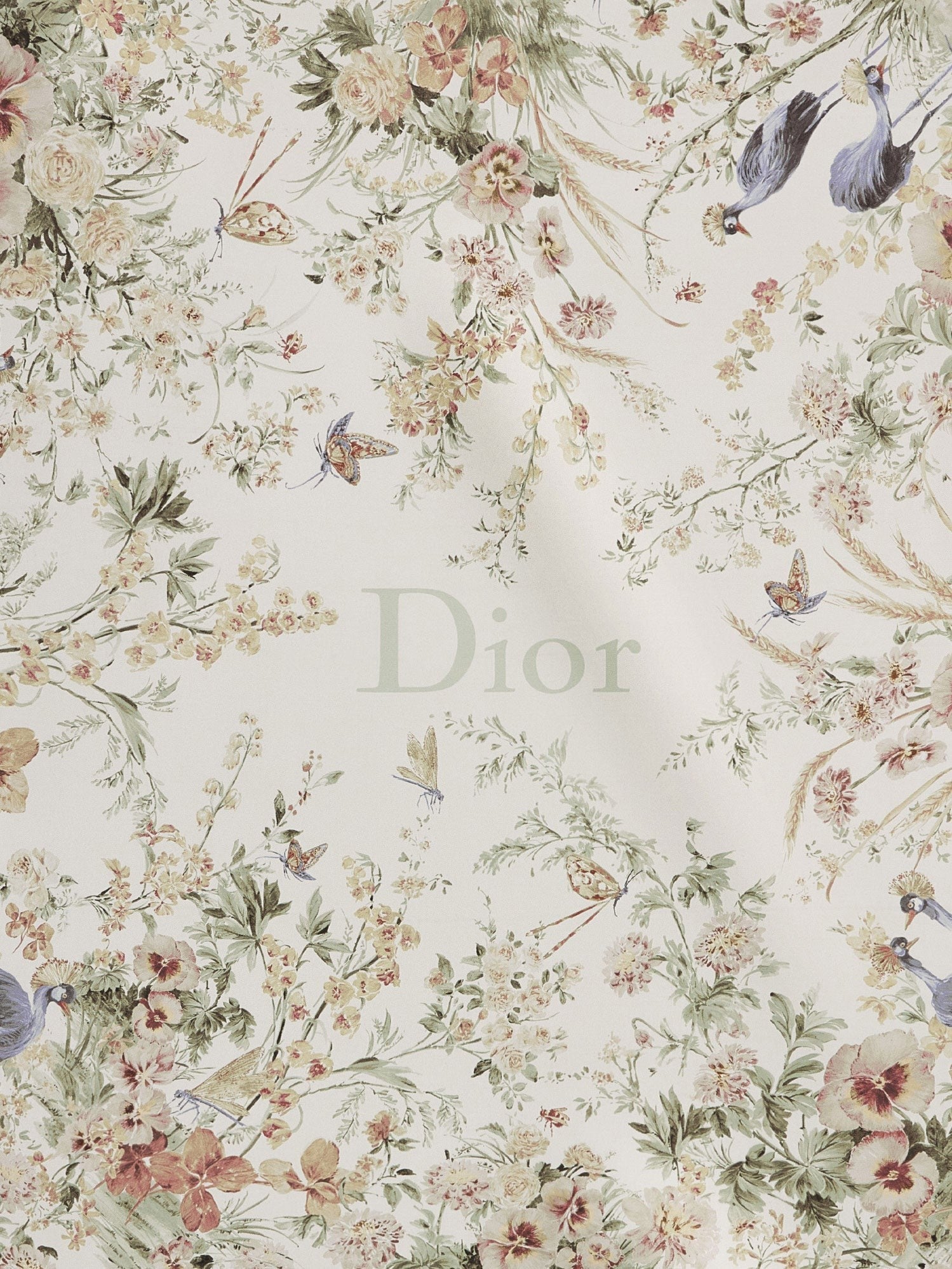 Dior - Woman - Beig - Scarf