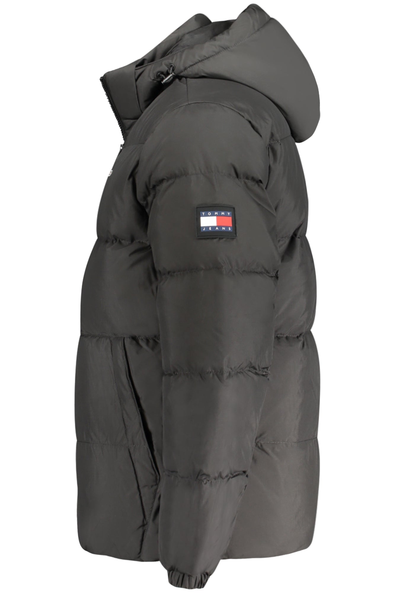 TOMMY HILFIGER - Man - Jacket