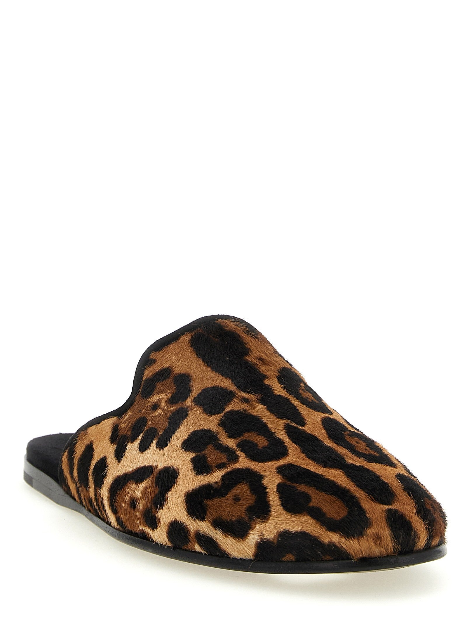 Dolce & Gabbana - nan - Brown - Flat