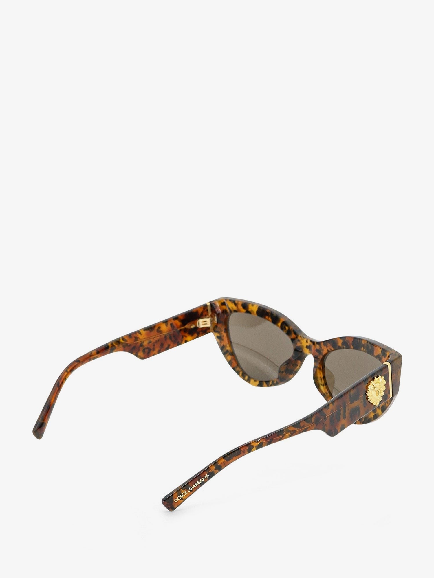 Dolce & Gabbana - Woman - Brown - Sunglasse