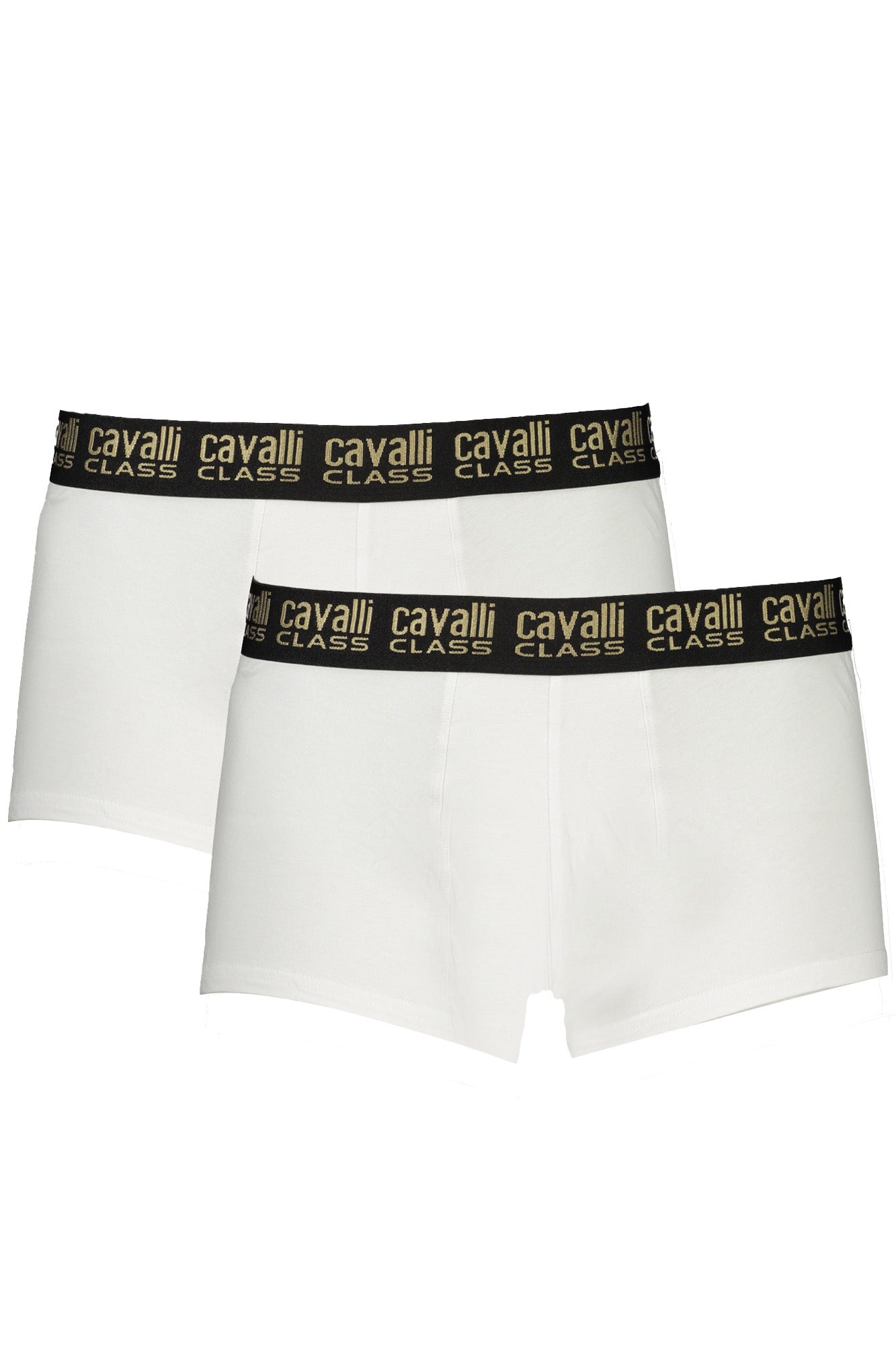 CAVALLI CLASS - Man - Underpants