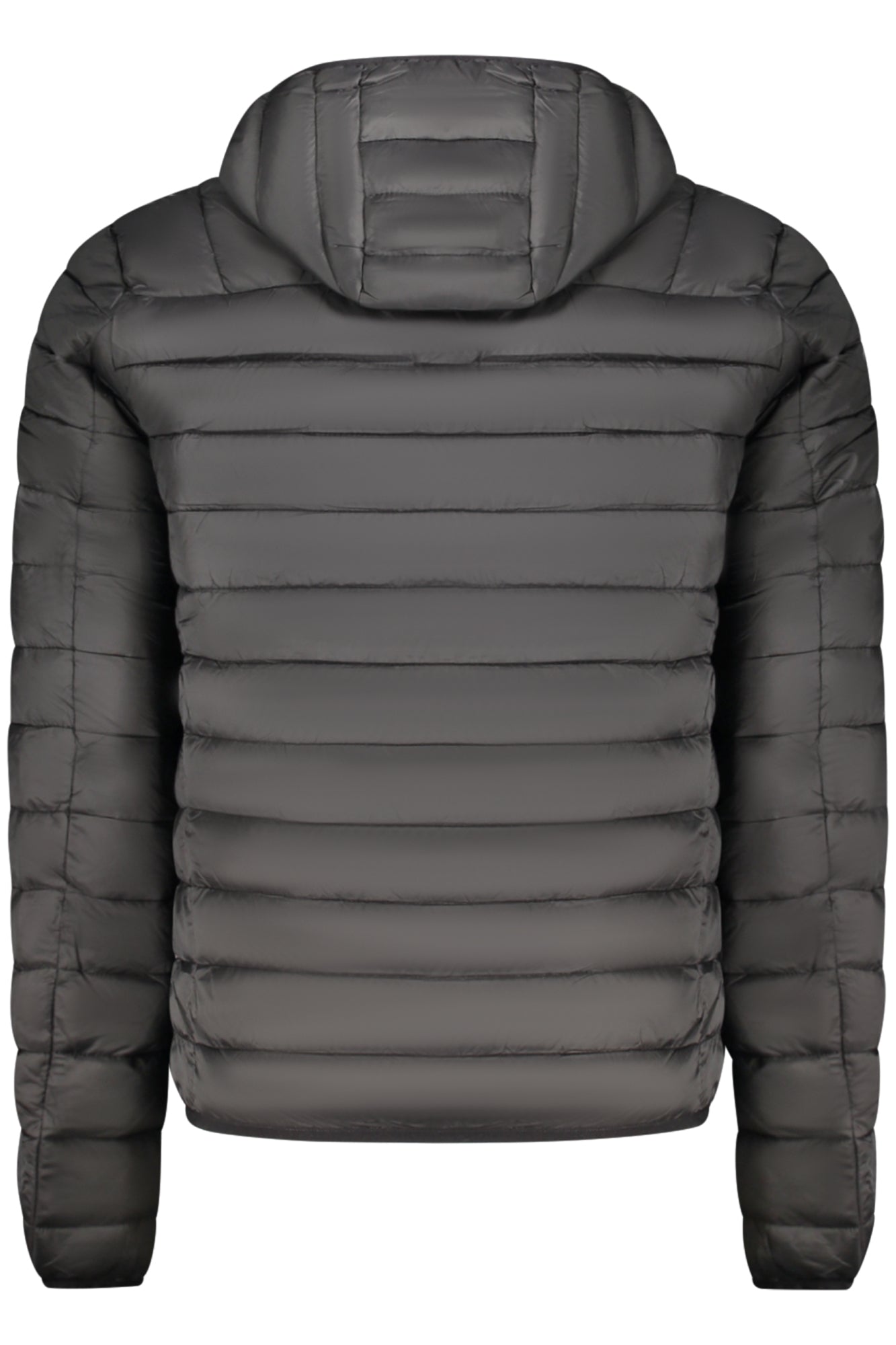 CAVALLI CLASS - Man - Jacket