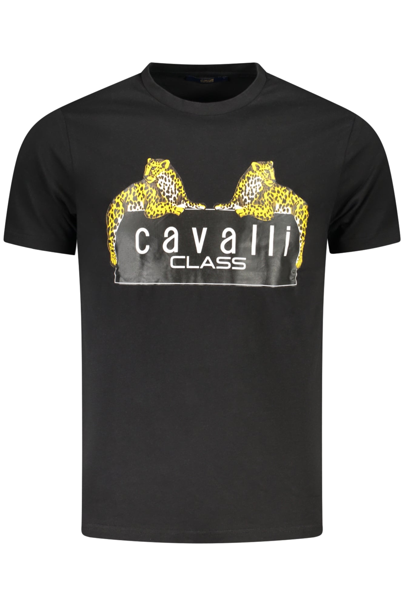 CAVALLI CLASS - Man - T-shirt