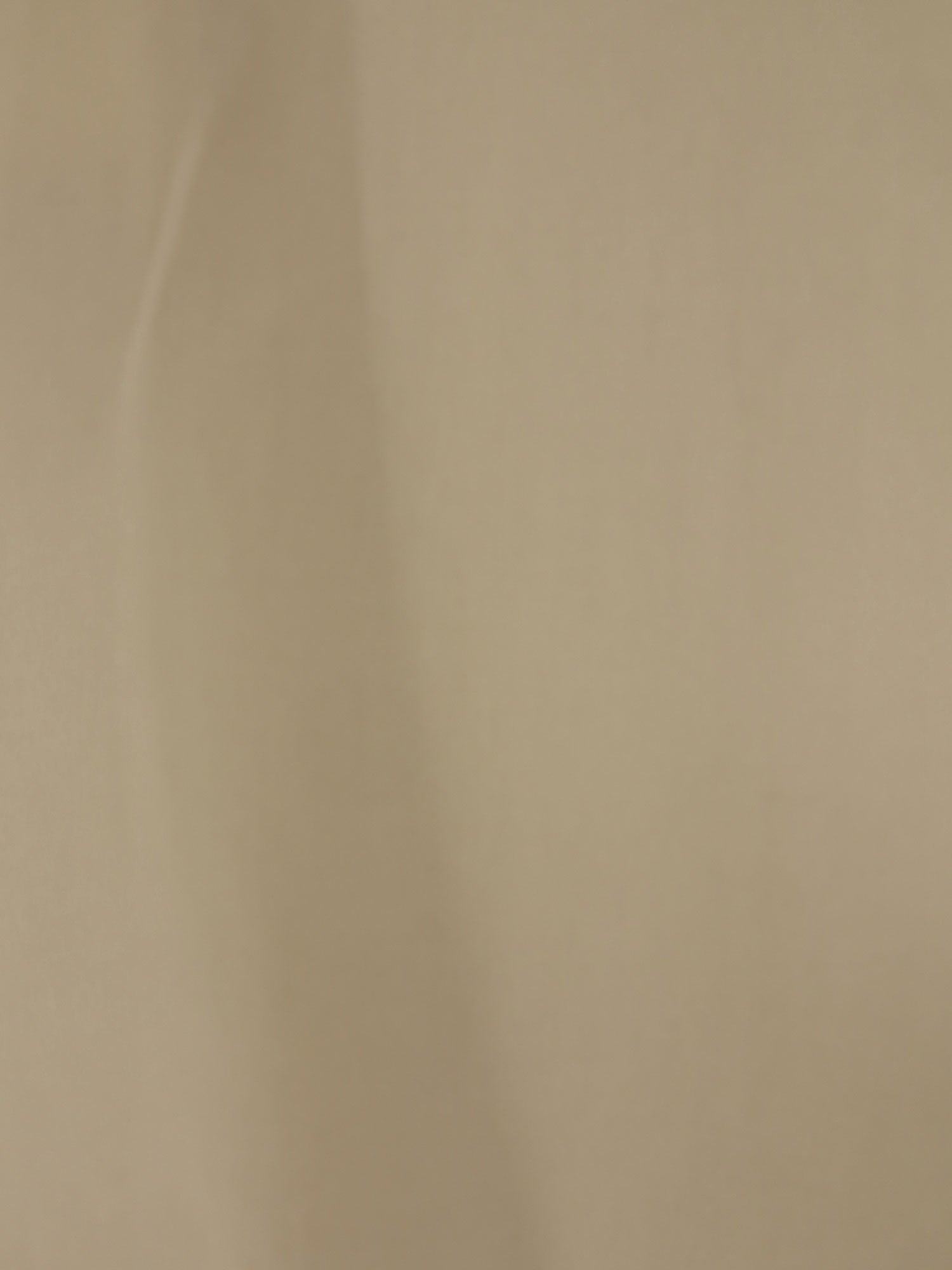 TOTEME - Woman - Beige - Shirt