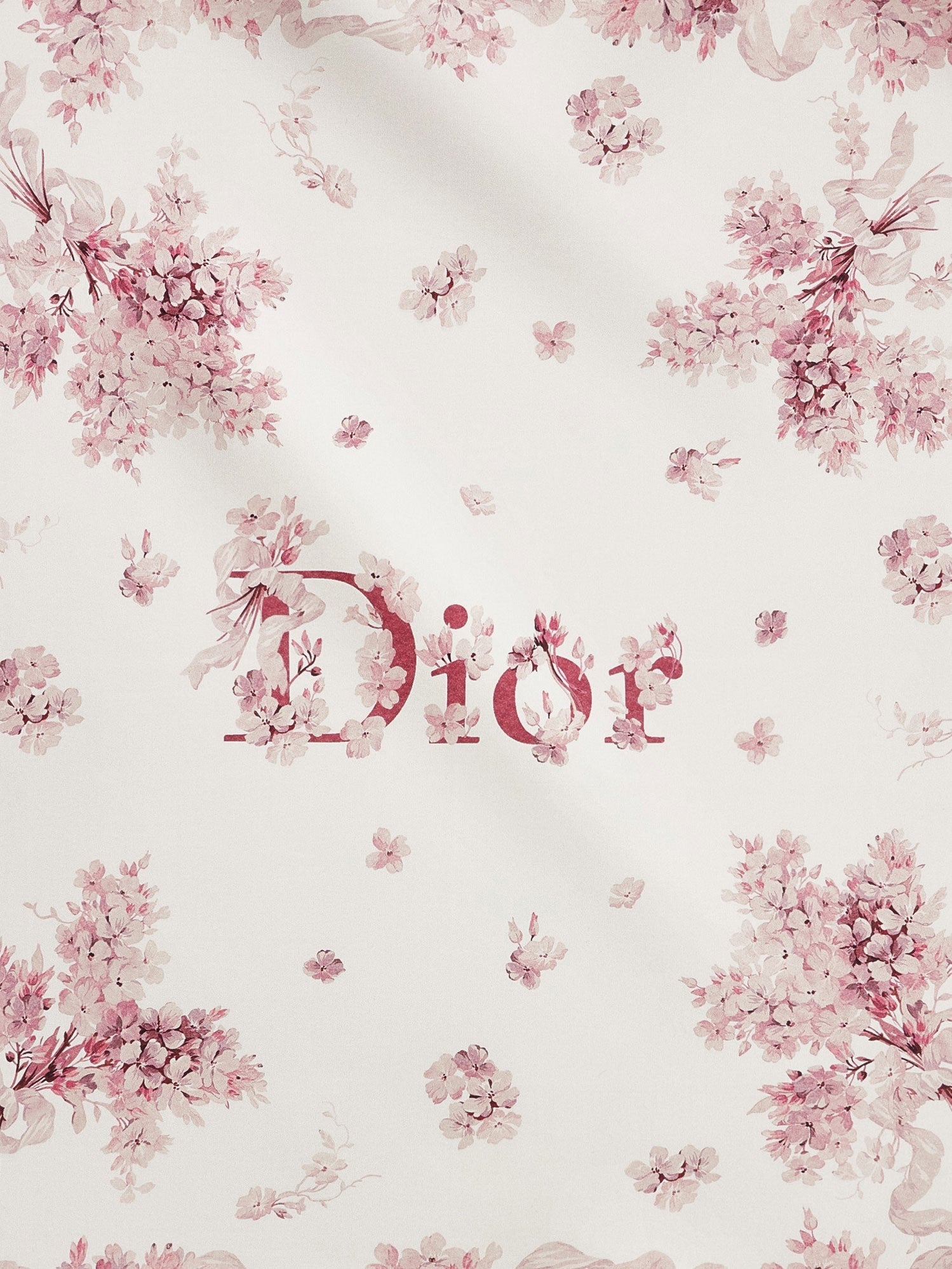Dior - Woman - Black - Scarf