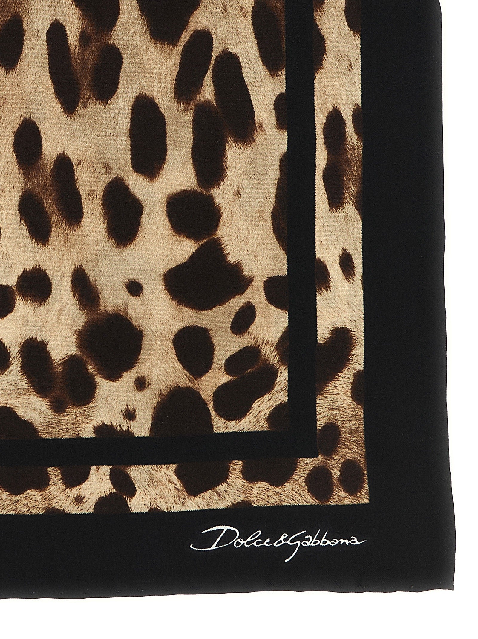 Dolce & Gabbana - nan - Brown - Scarf