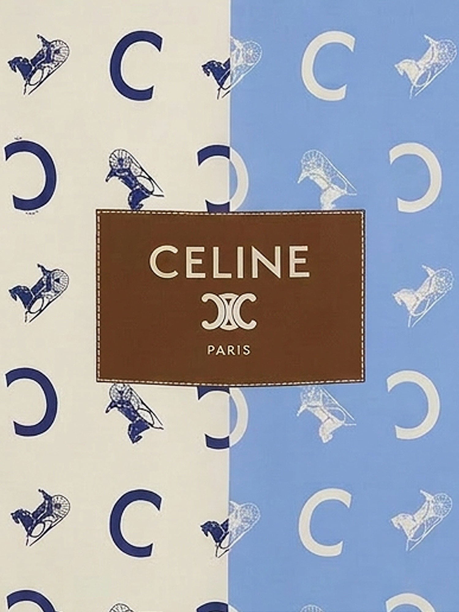 Celine - Woman - Blue - Scarf