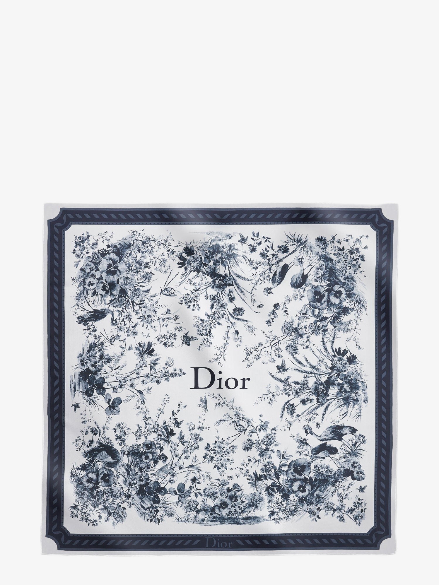 Dior - Woman - Blue - Scarf